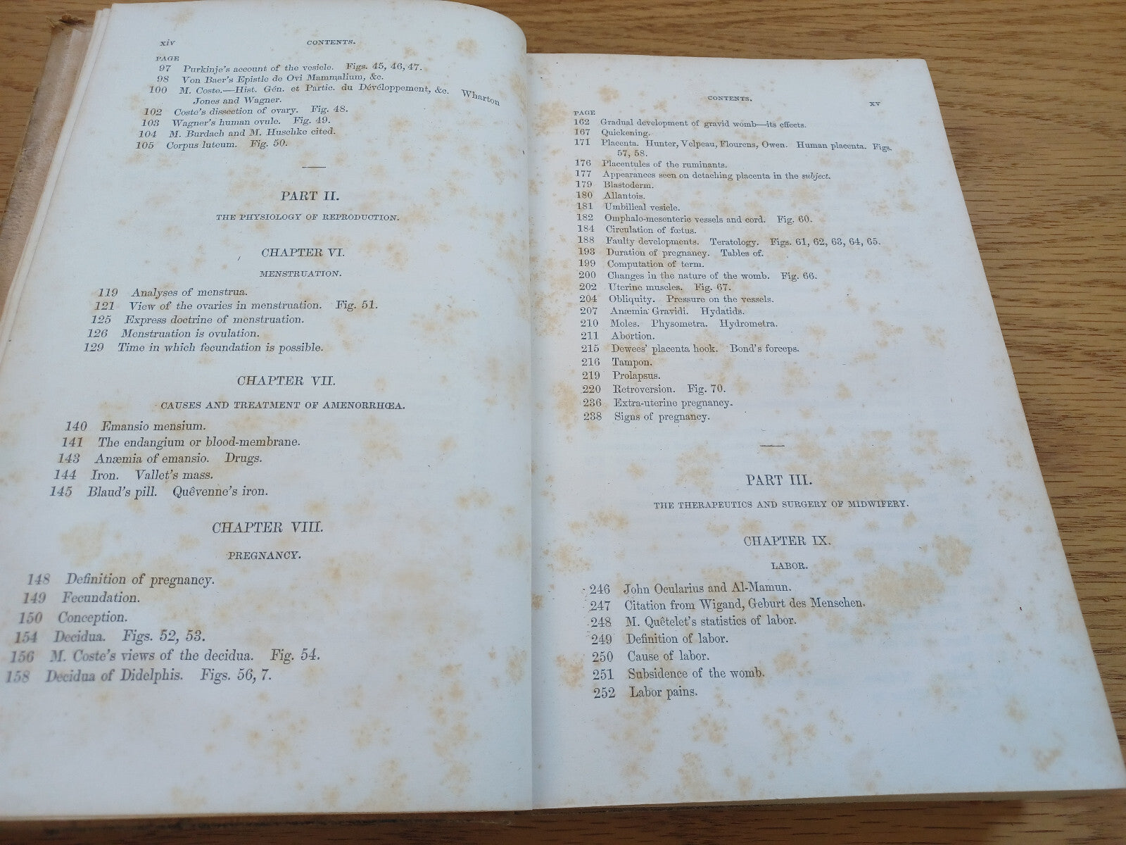 Image #12