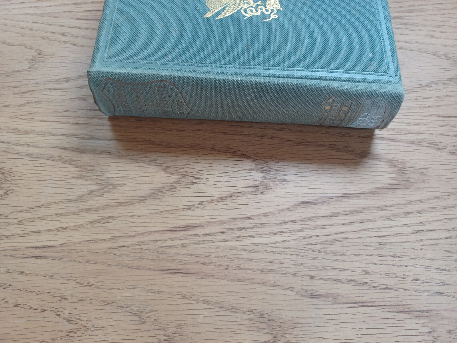 Image #5