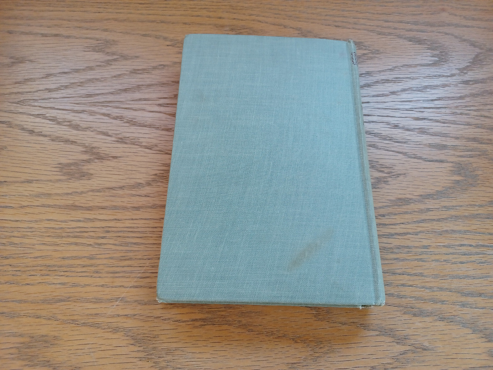 Image #6
