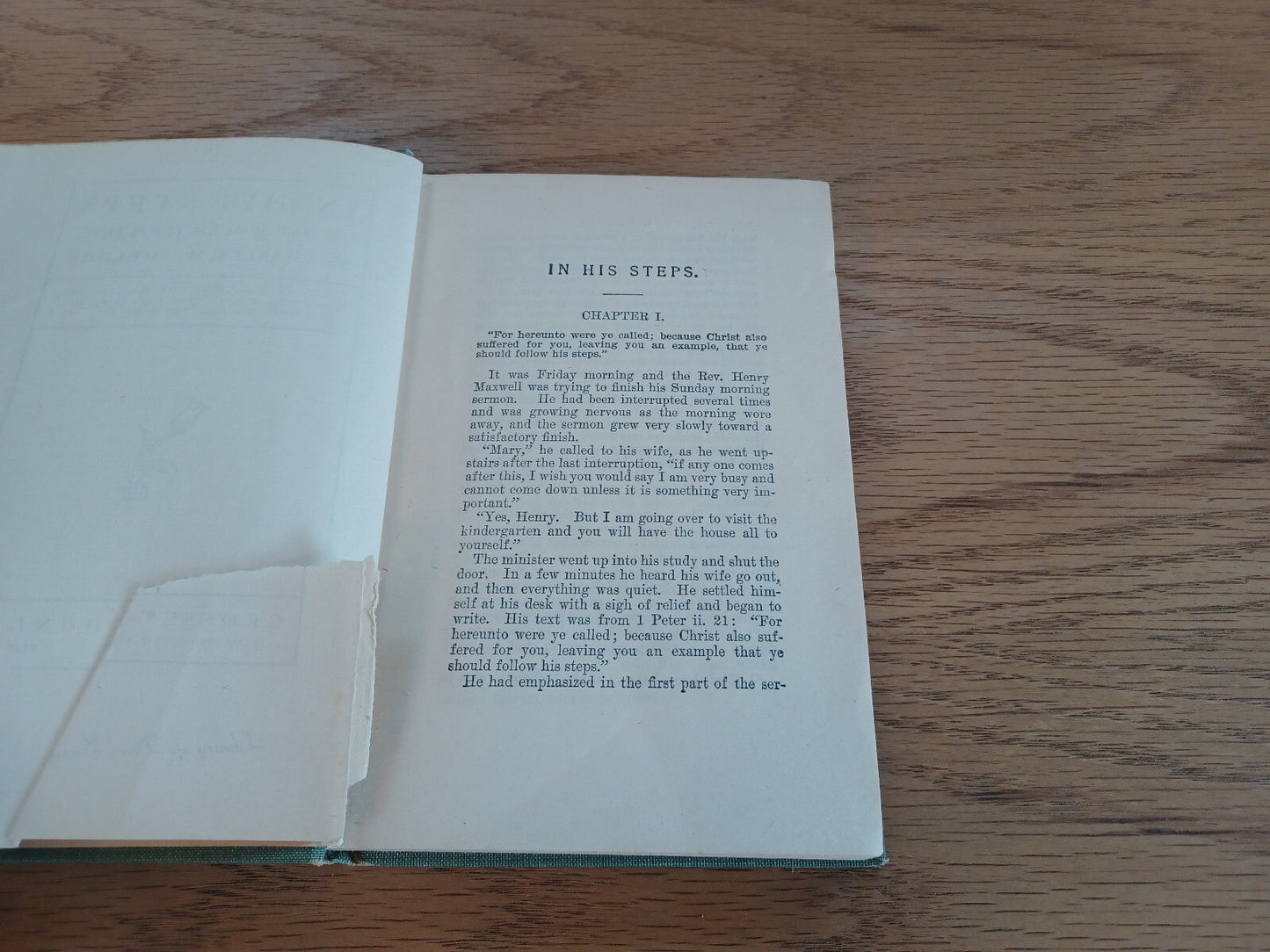 Image #8