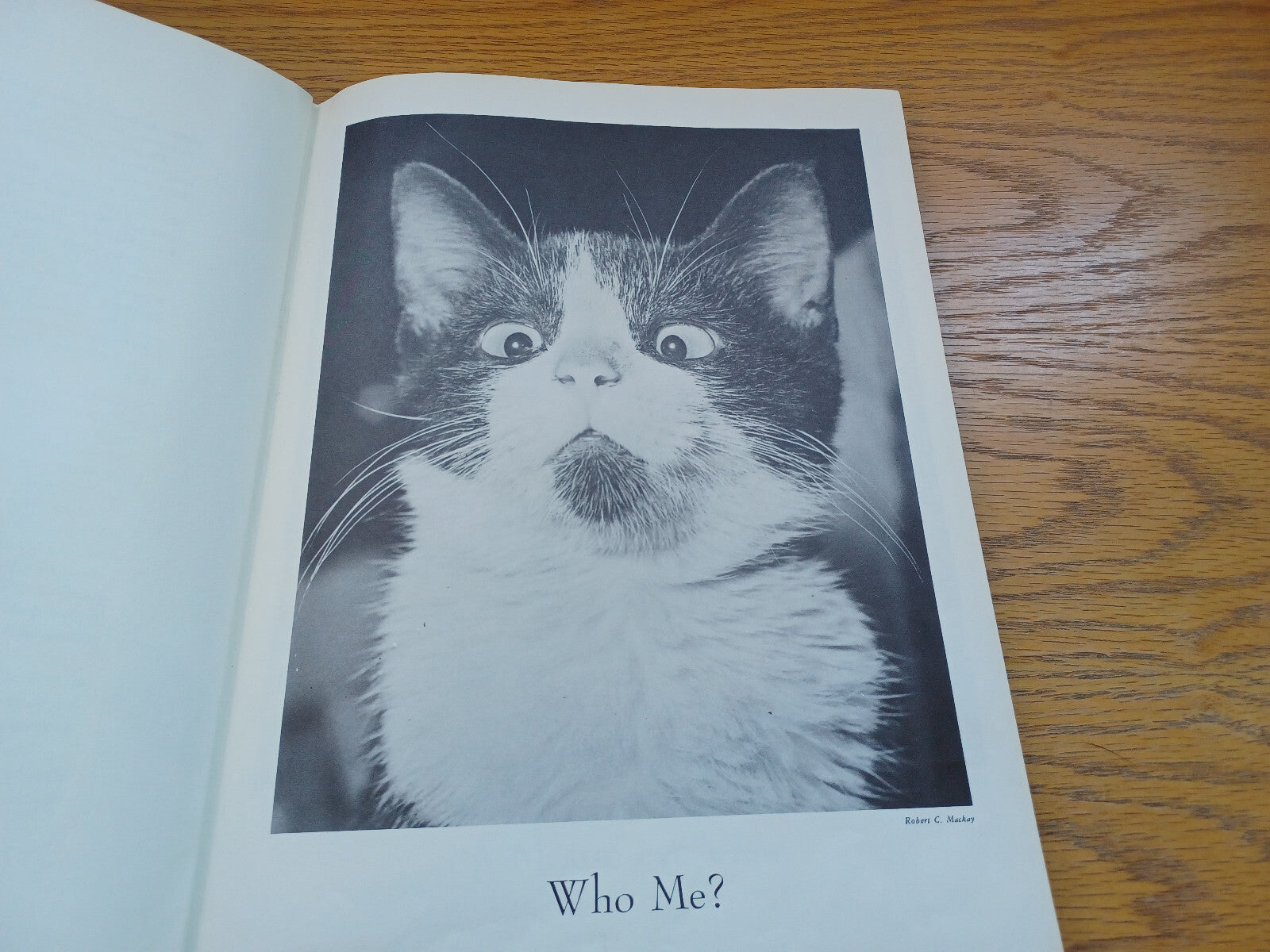 Image #10