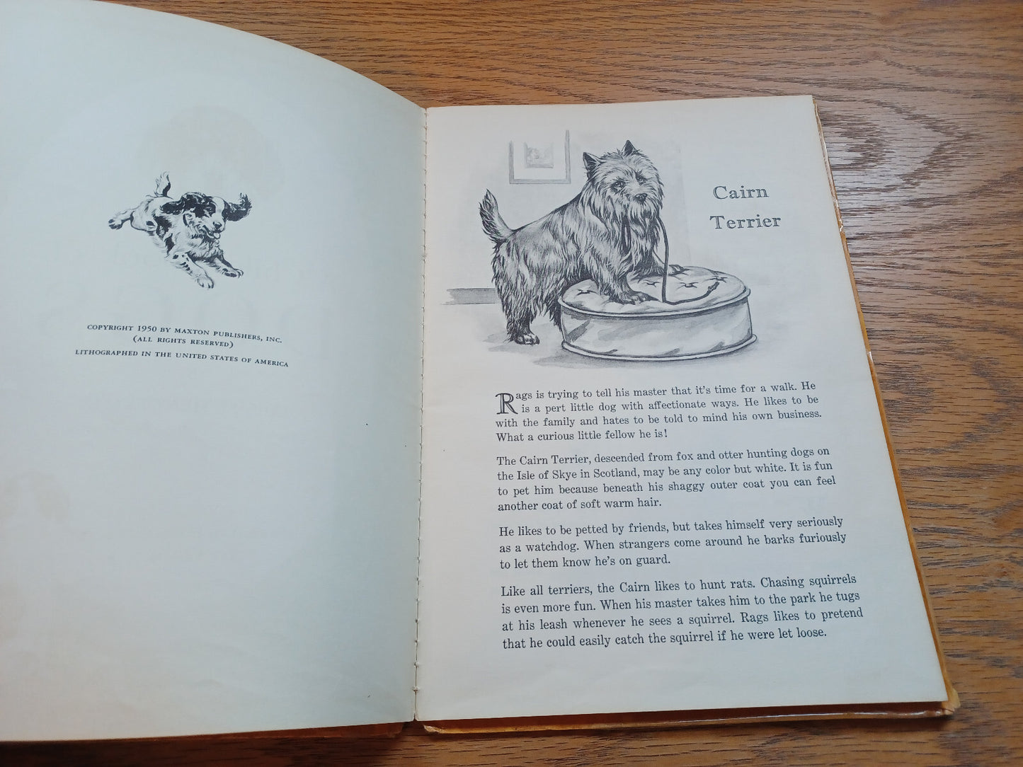 Image #8