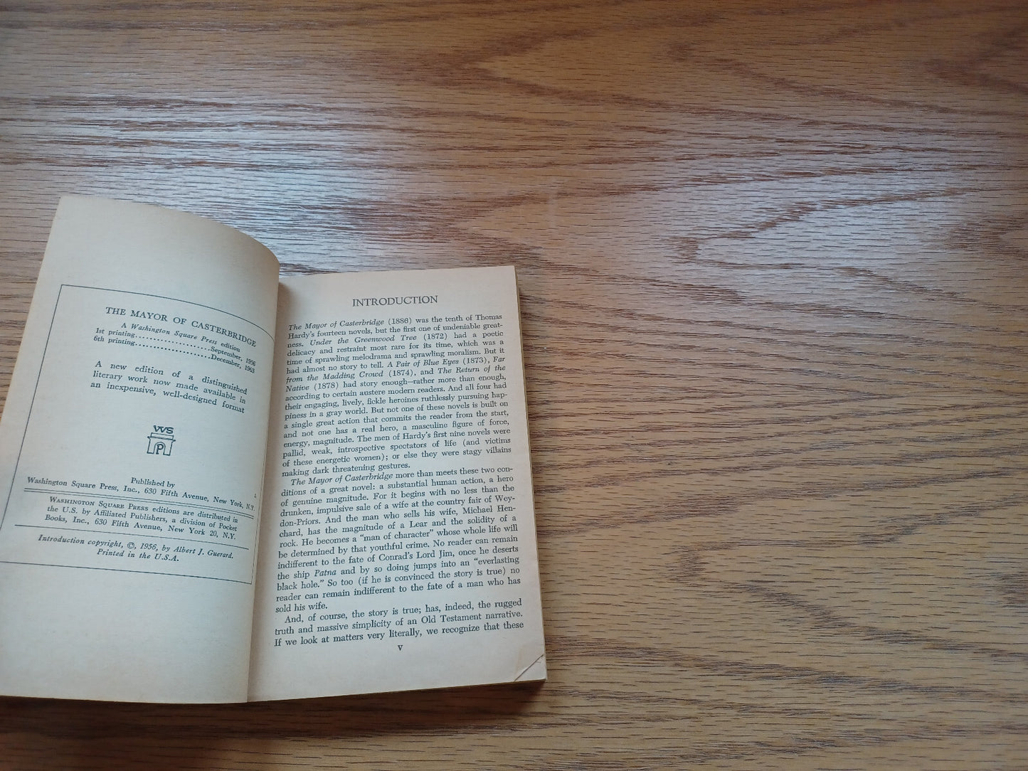 Image #8