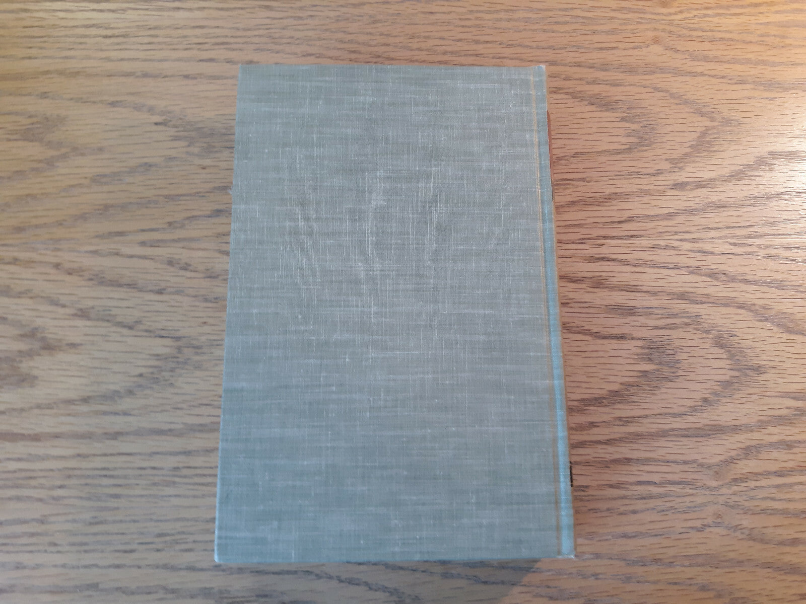 Image #6