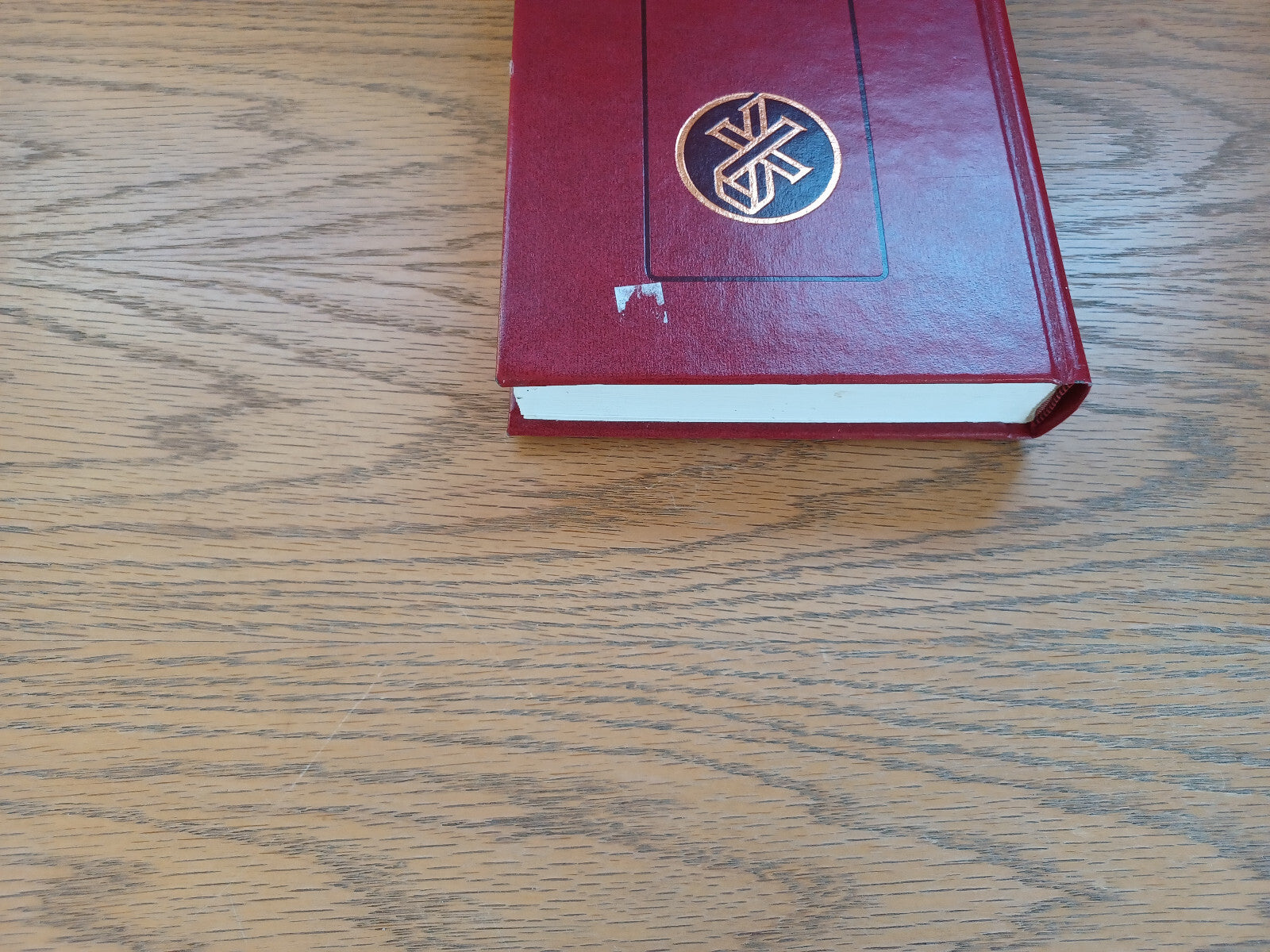 Image #4