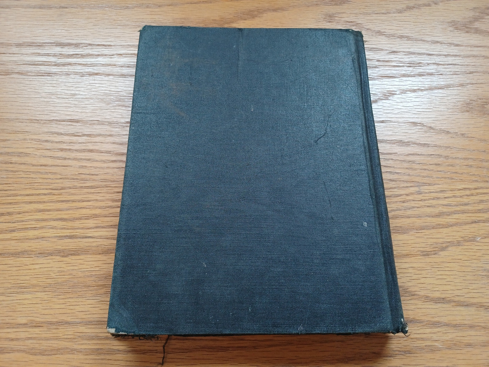 Image #6