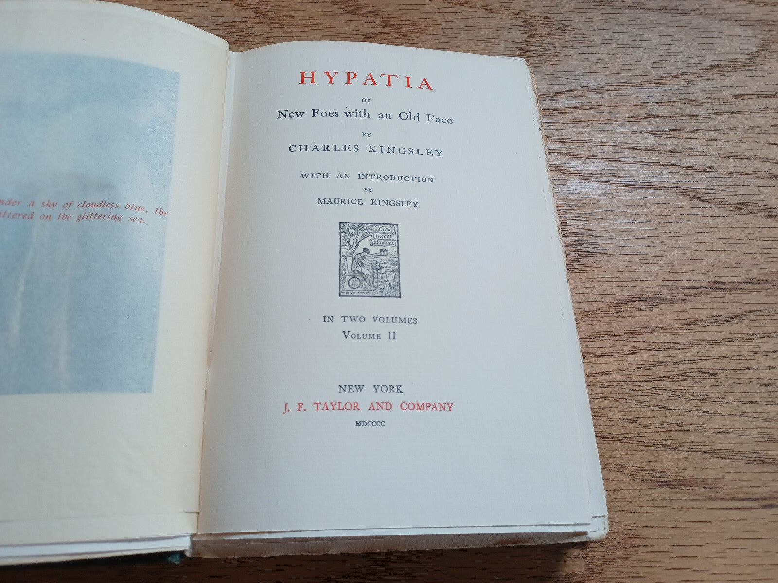 Image #8