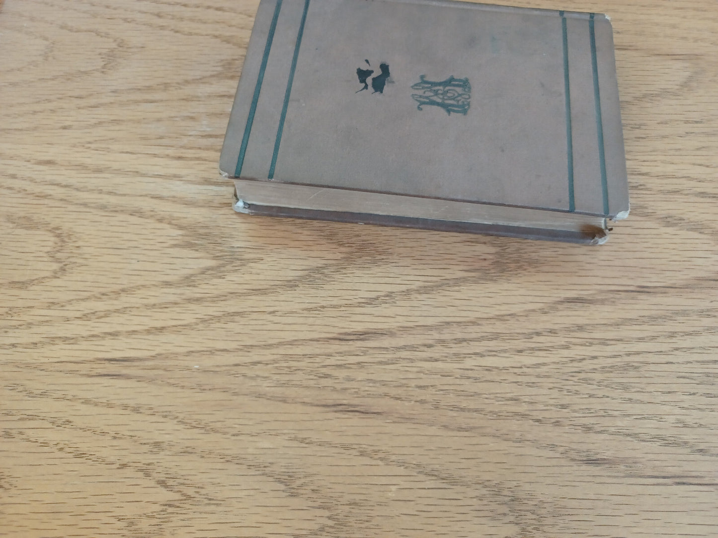 Image #3