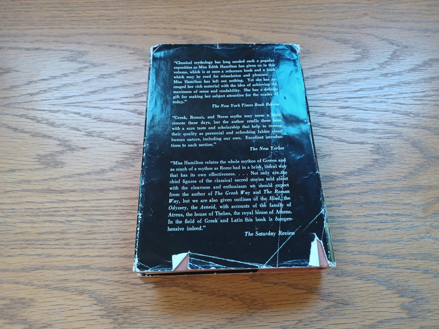 Image #6