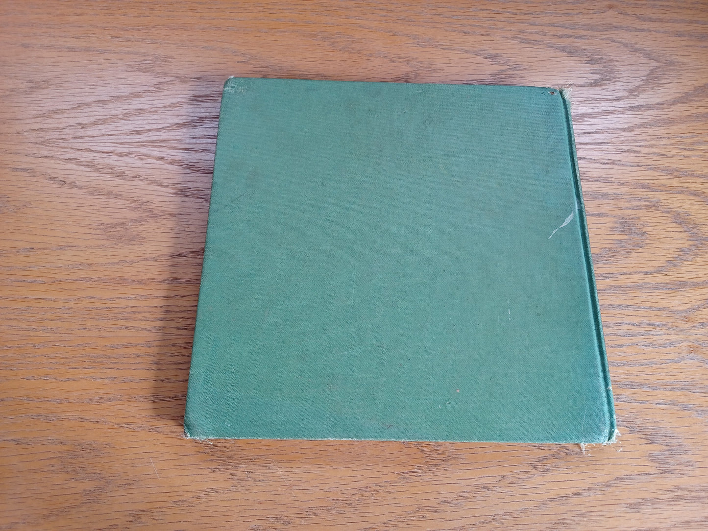 Image #6
