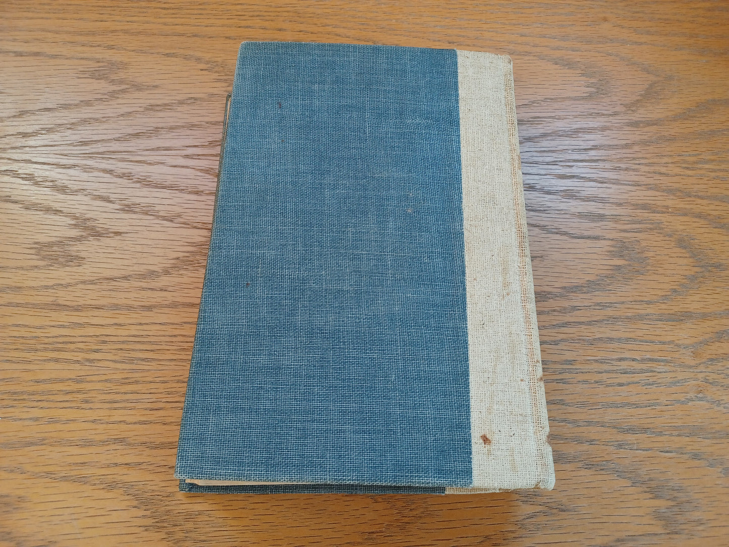 Image #6