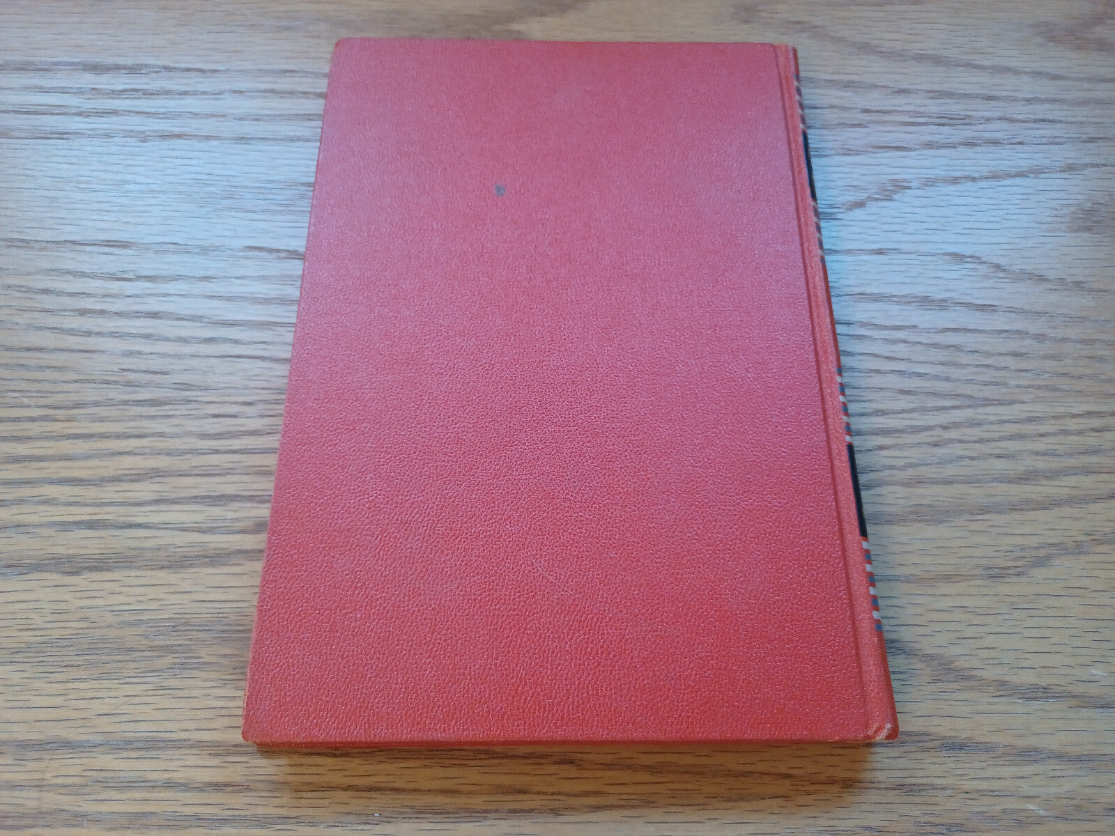 Image #6