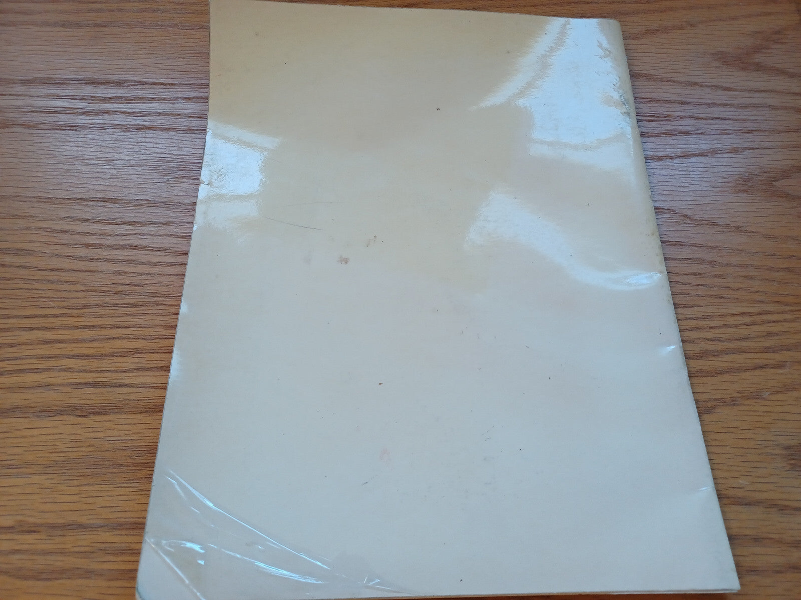 Image #3