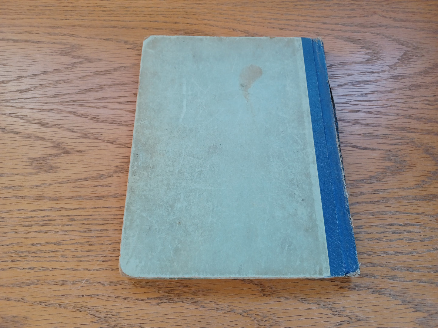Image #6