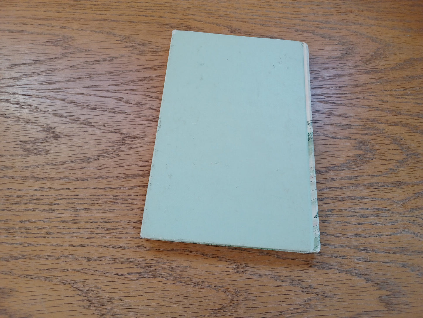Image #6