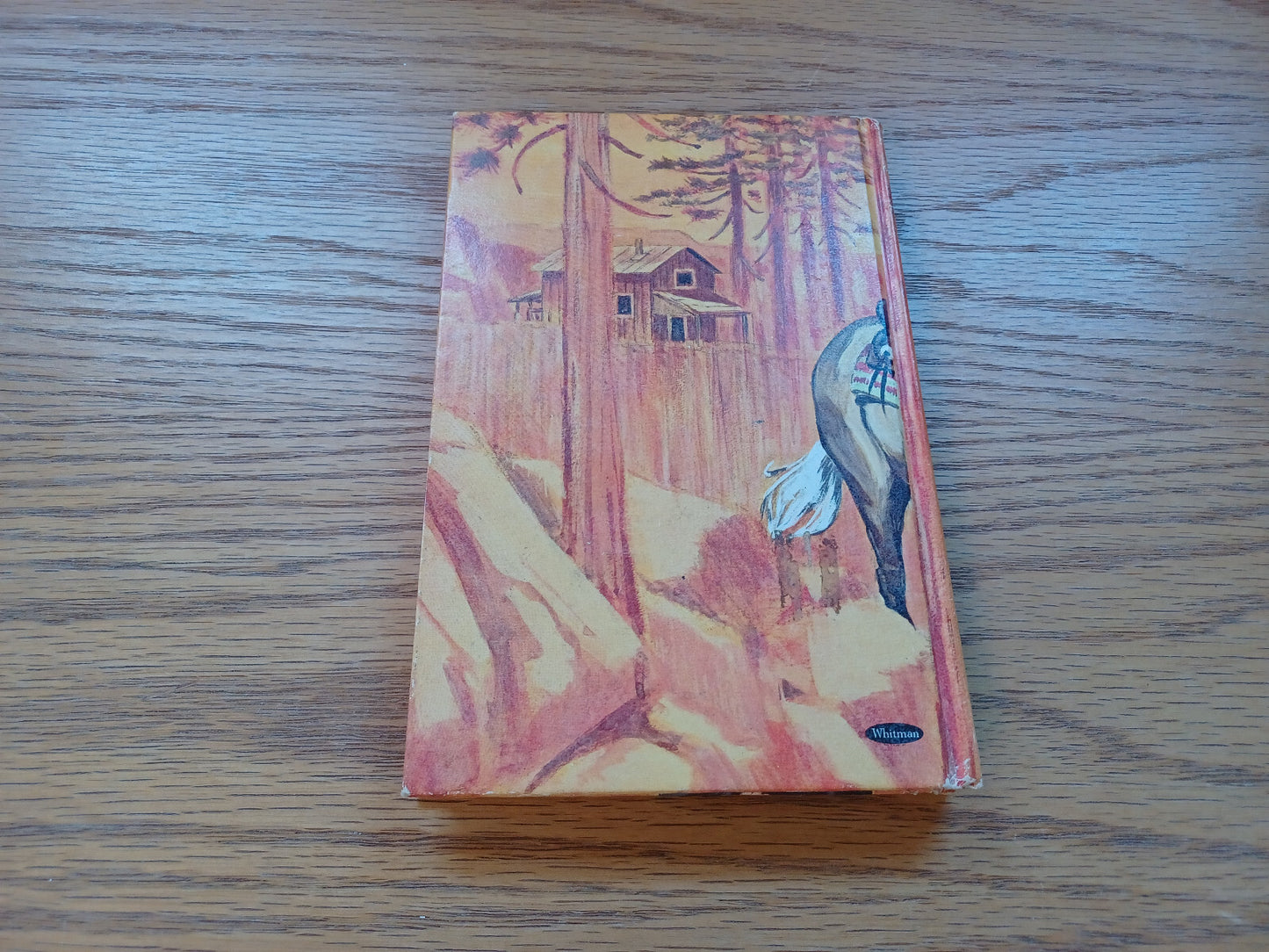Image #6