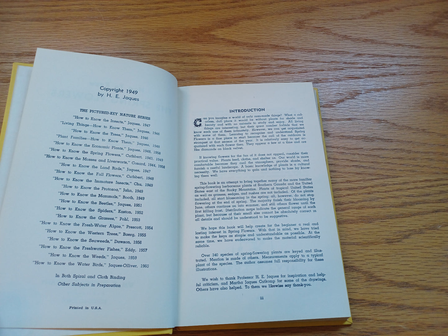 Image #8