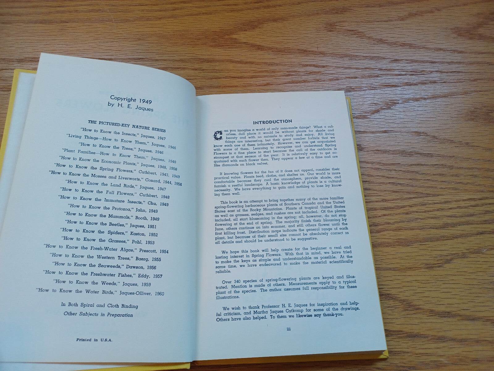 Image #8