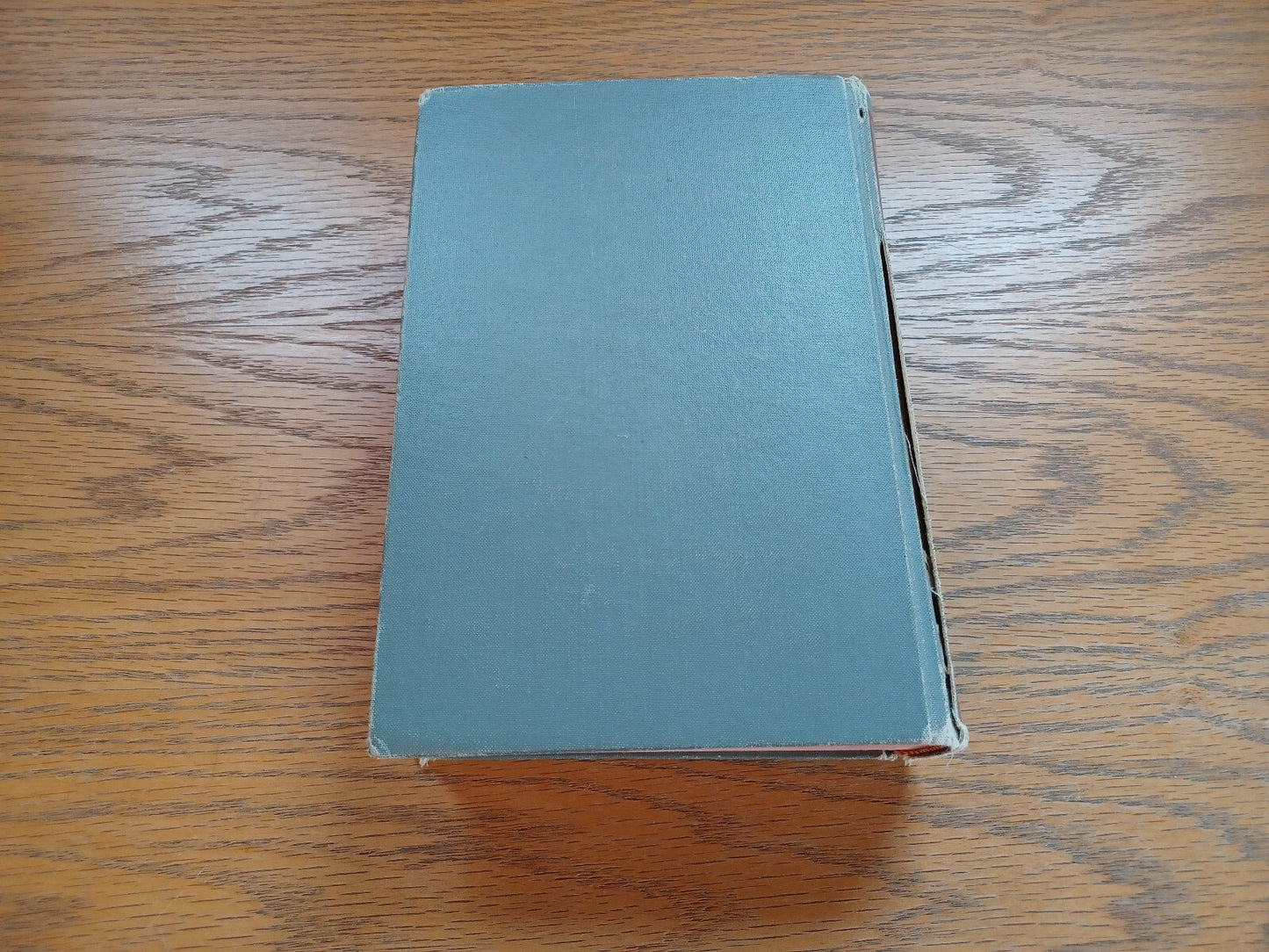Image #6