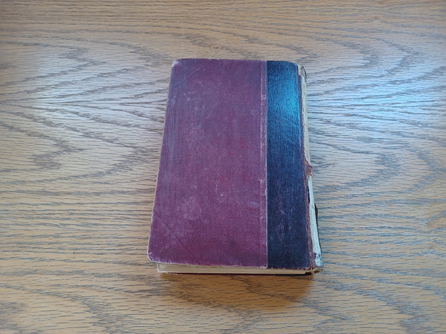 Image #6