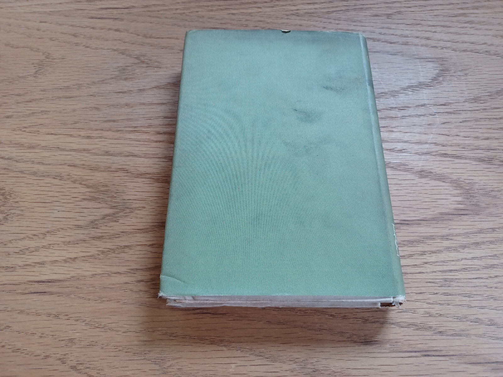 Image #6