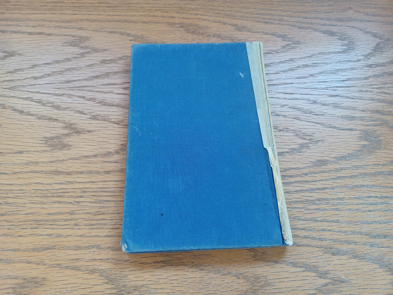 Image #6