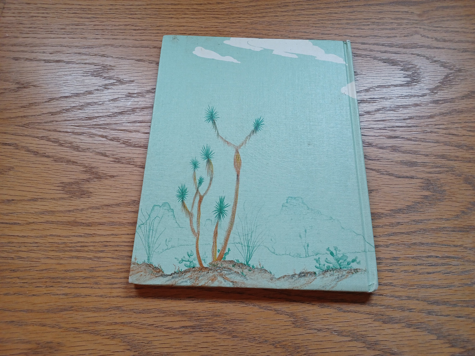 Image #6