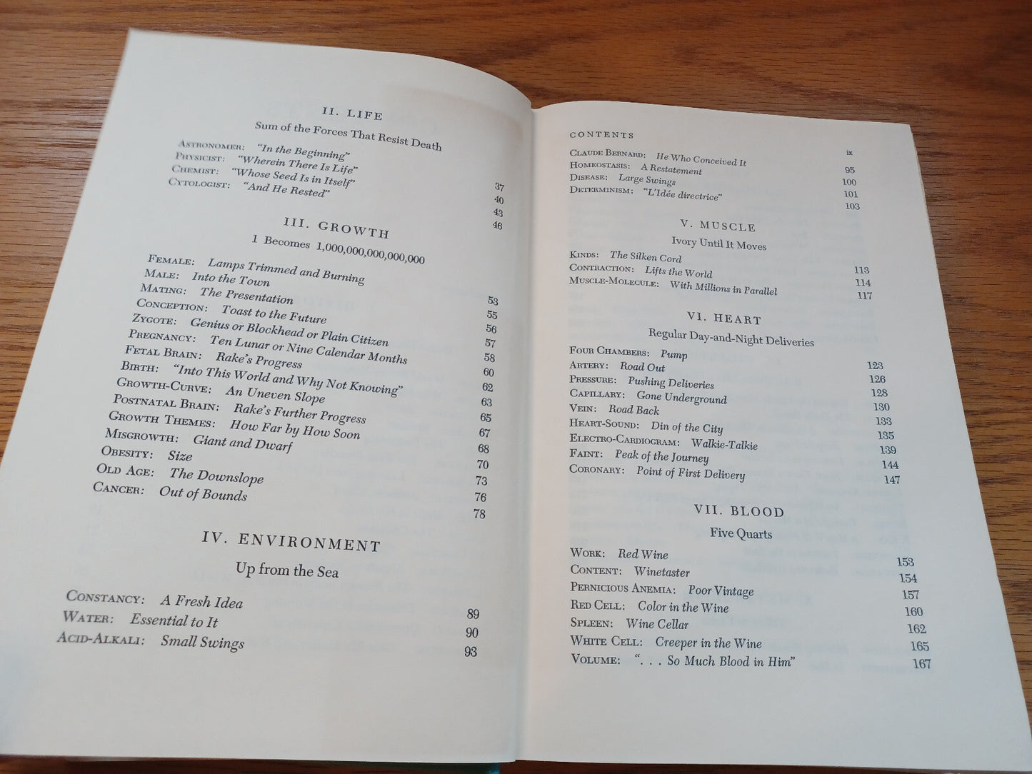 Image #11