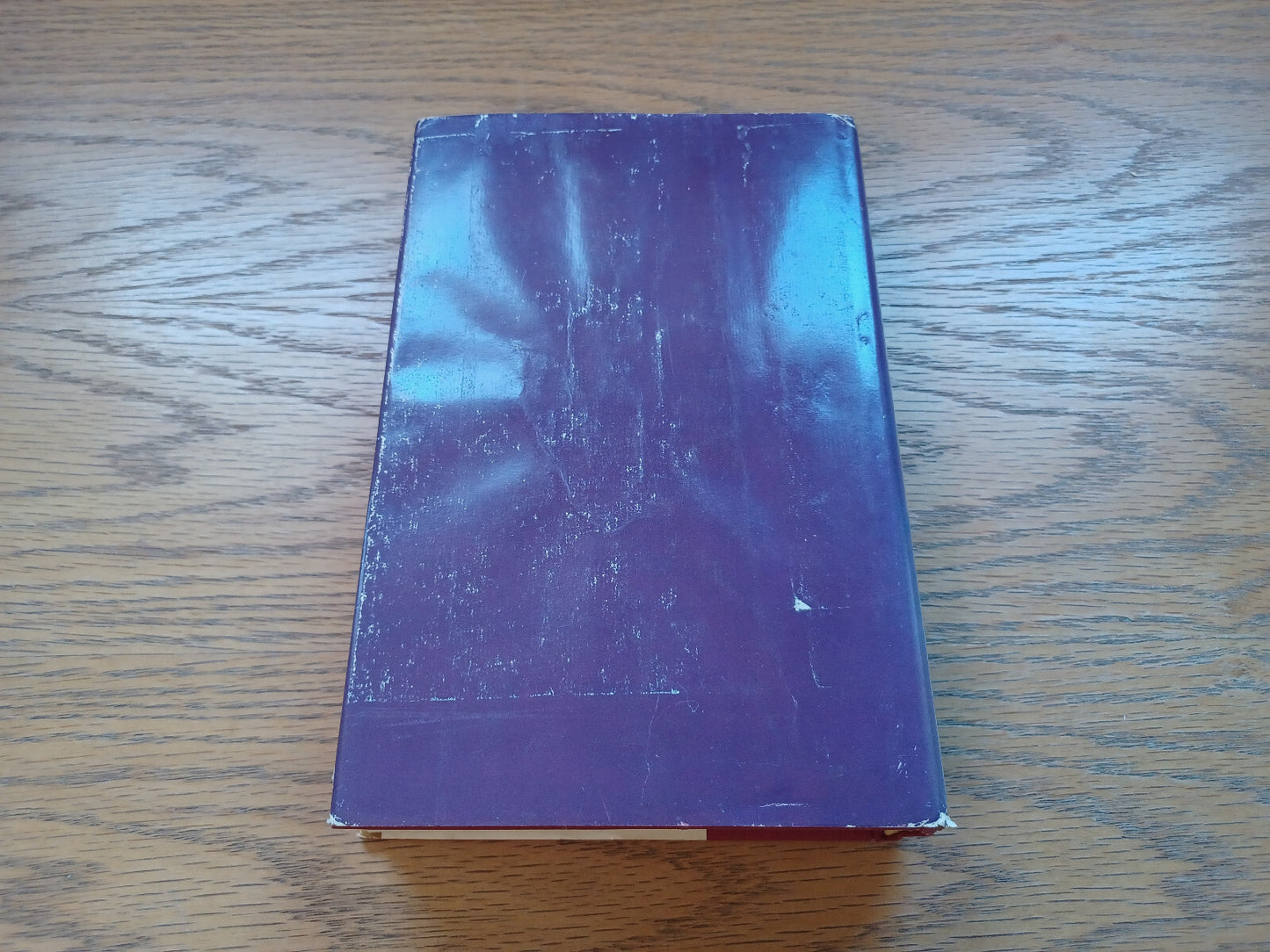 Image #6