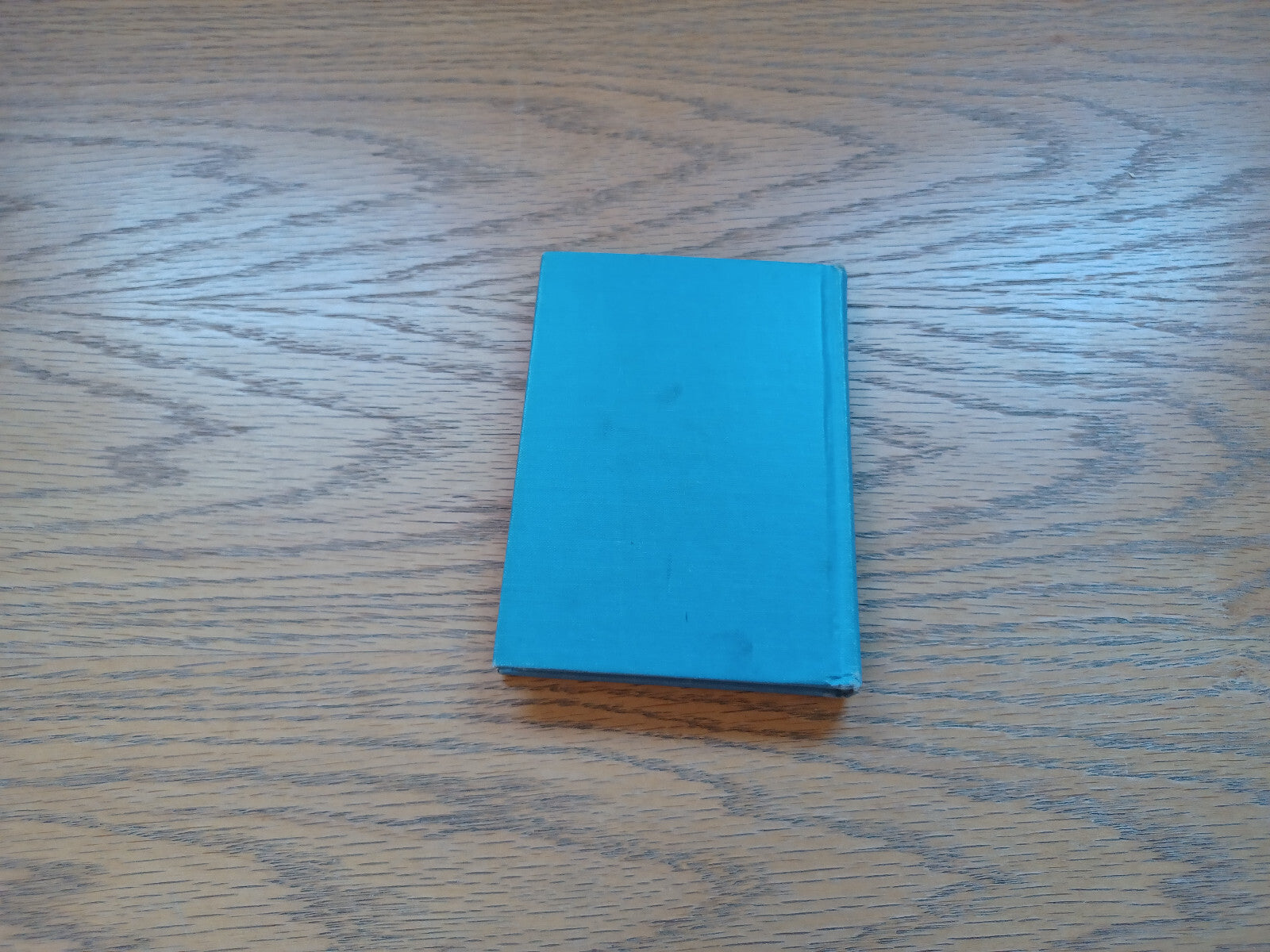 Image #6