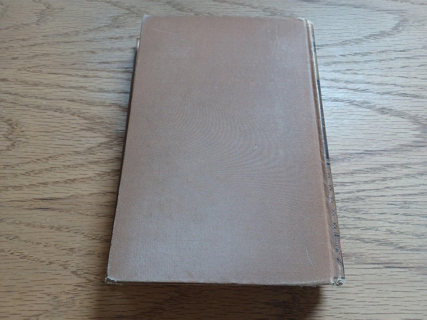 Image #6