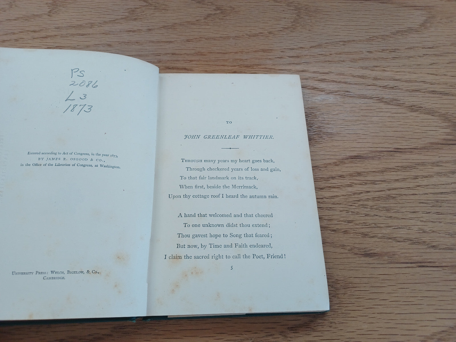 Image #8