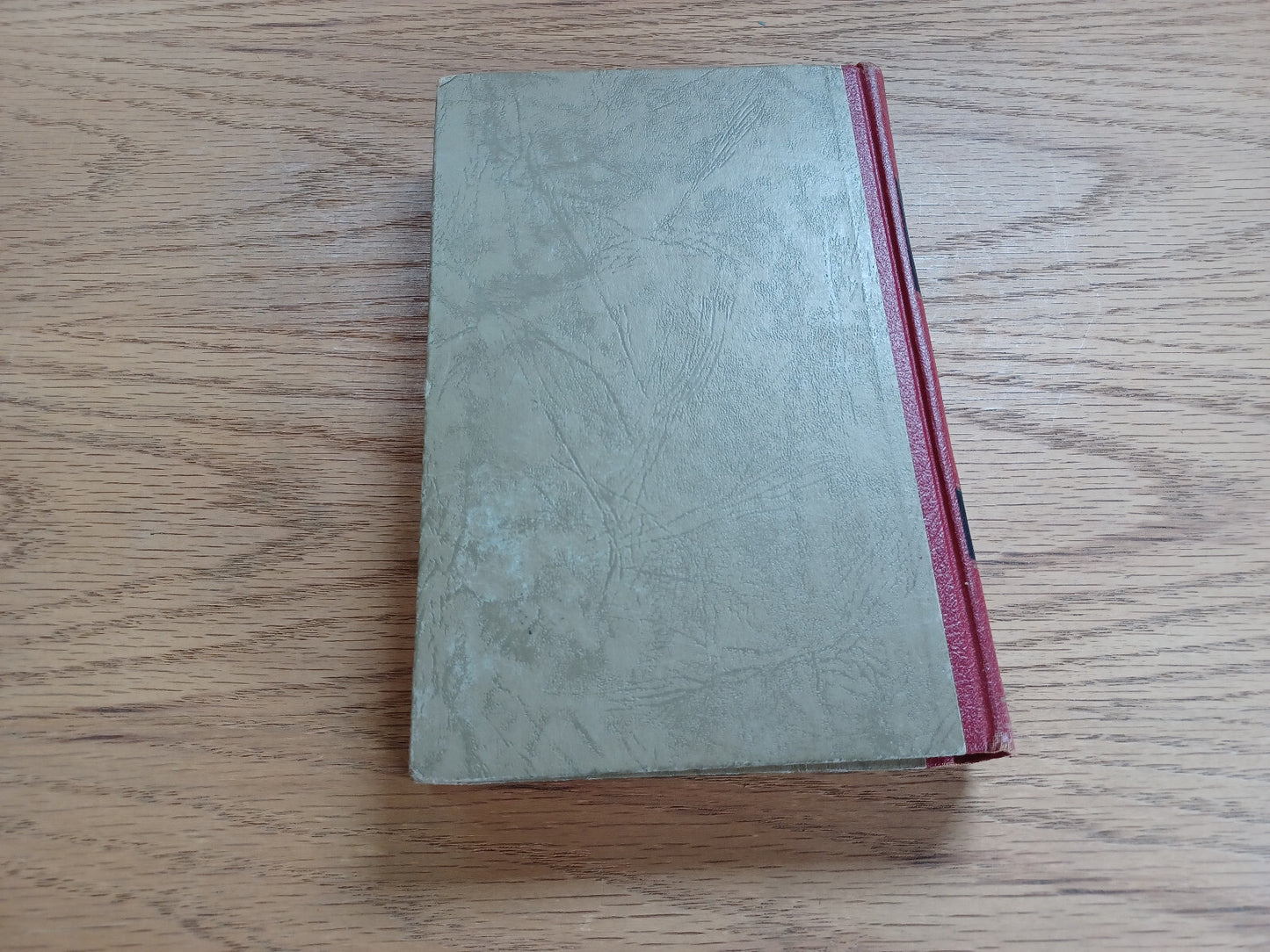 Image #6