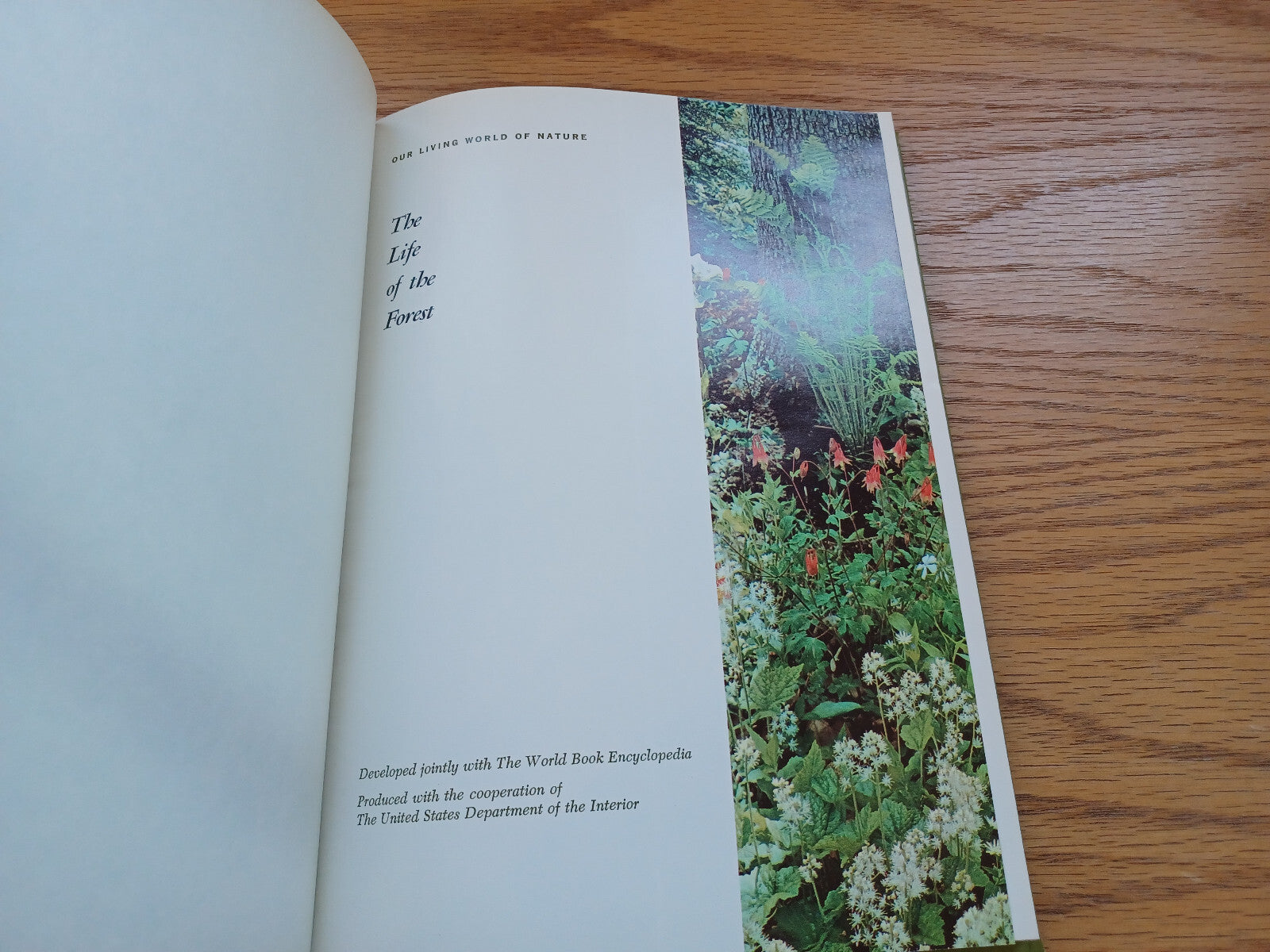 Image #7