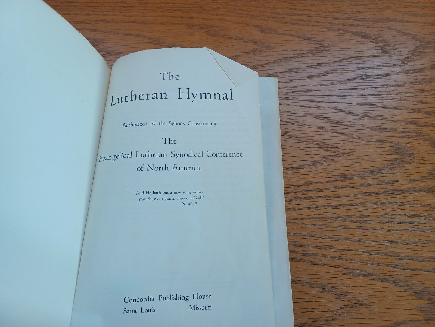 Image #7