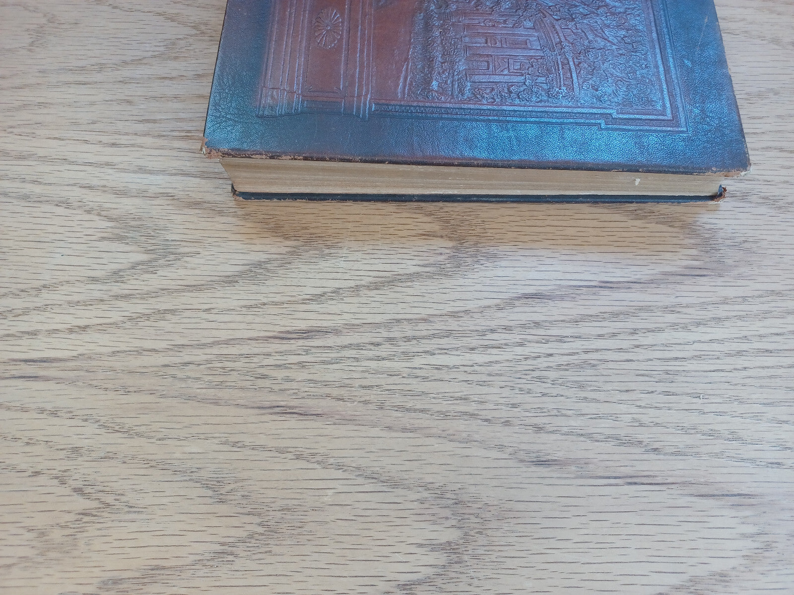 Image #3