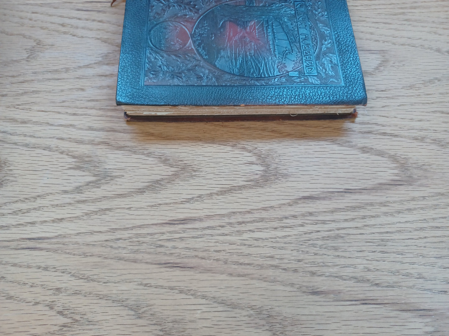Image #3