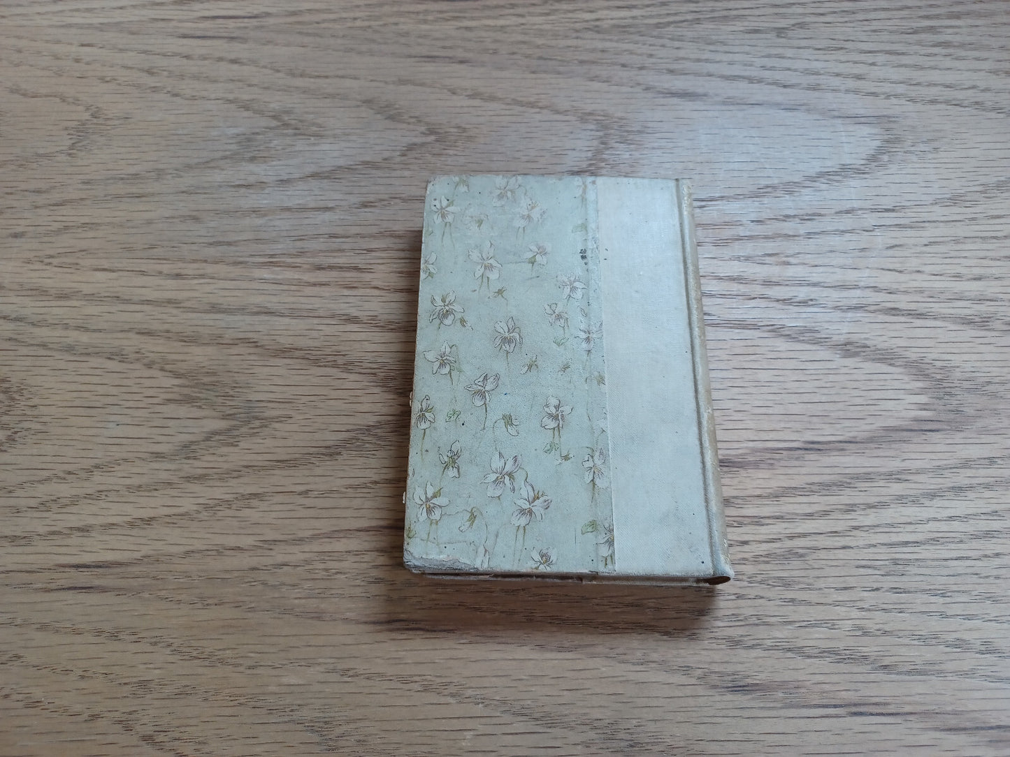 Image #6