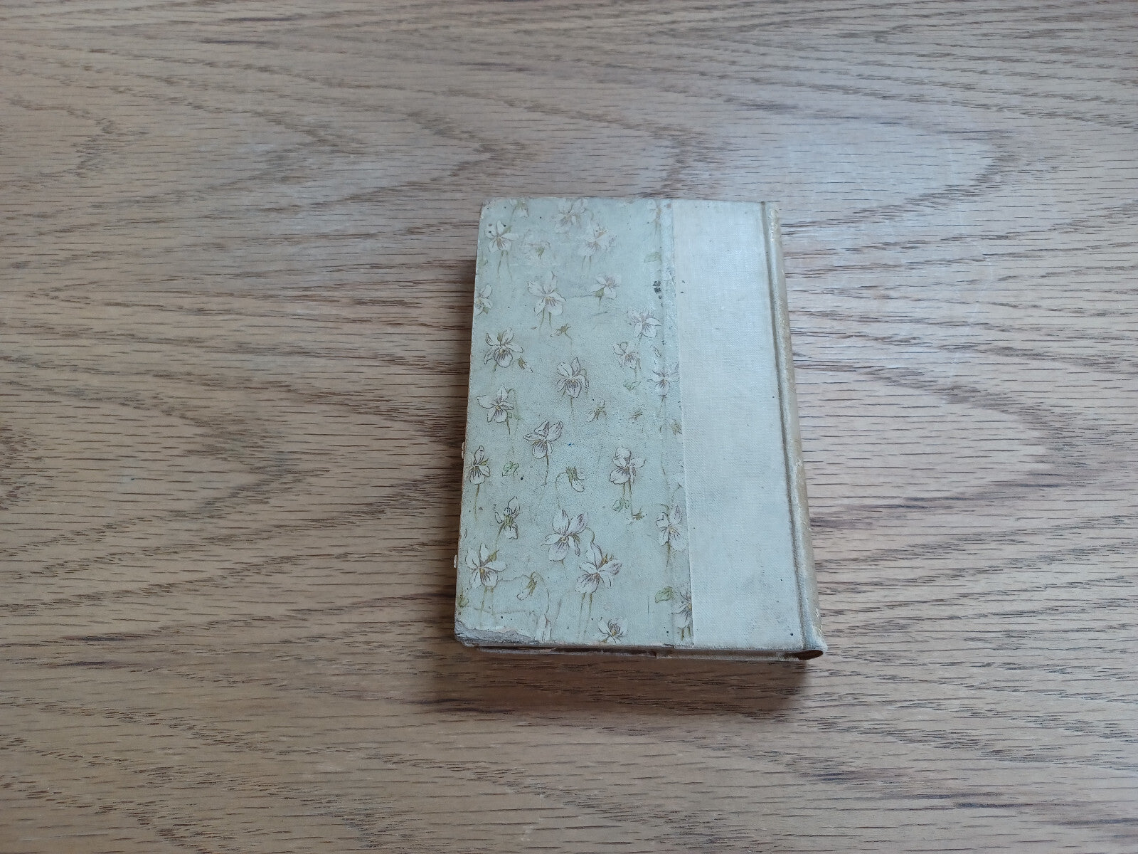 Image #6