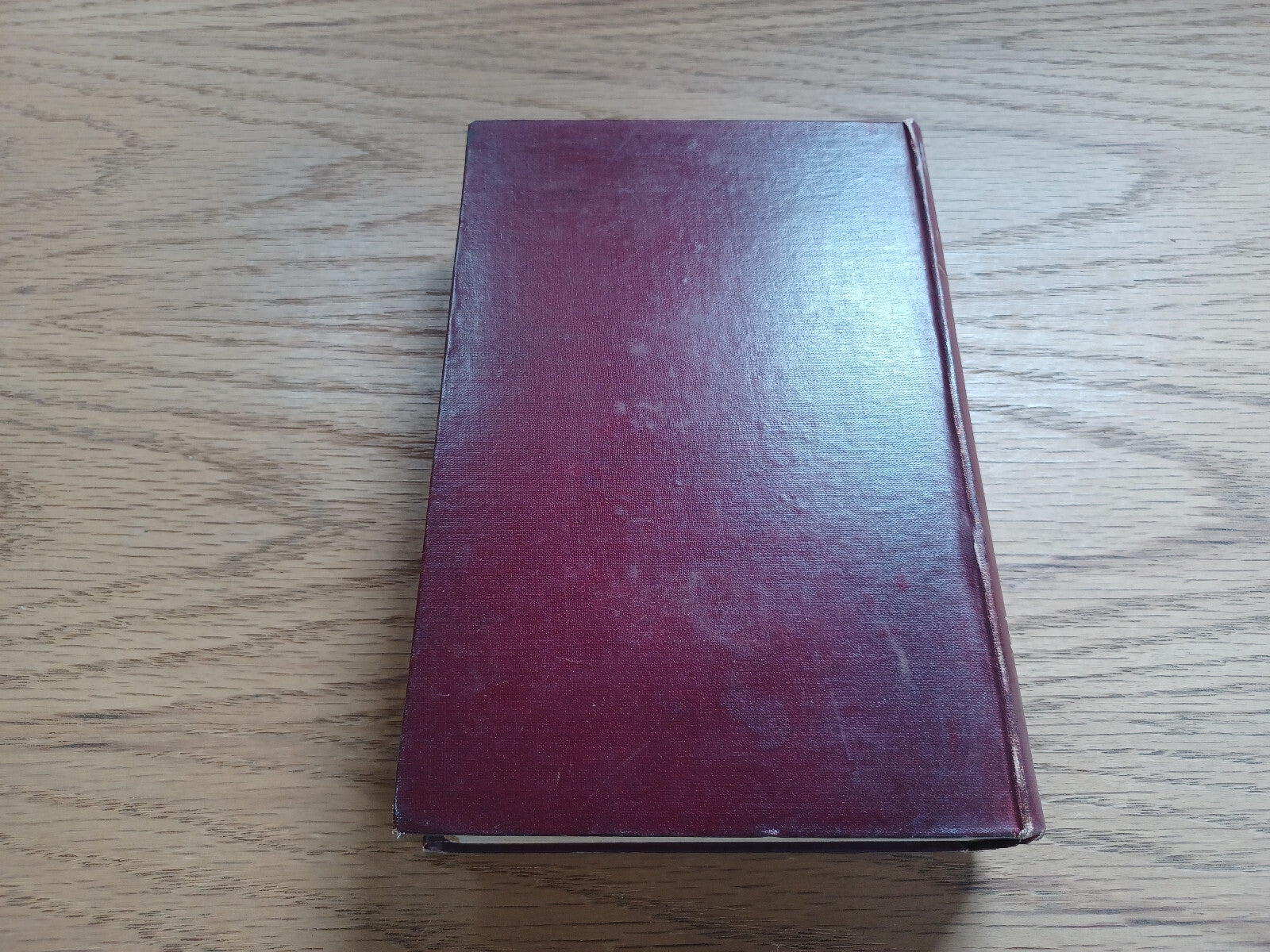 Image #6