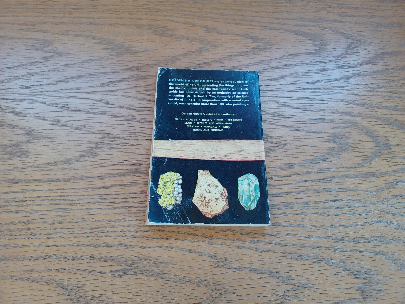 Image #5
