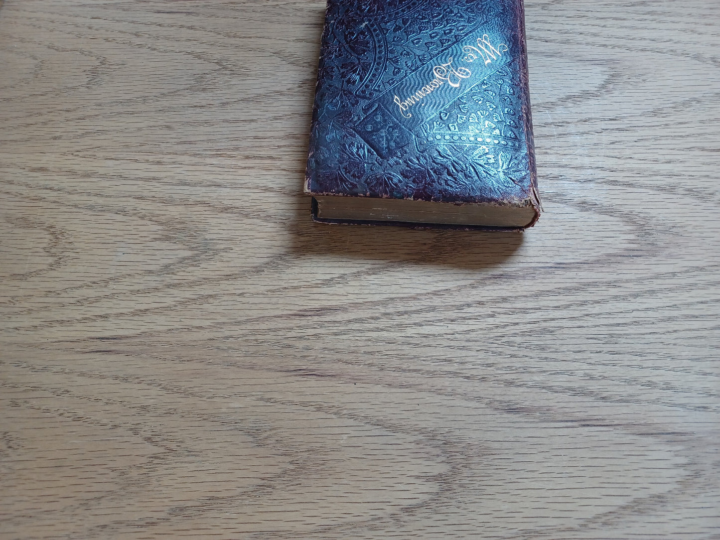 Image #4