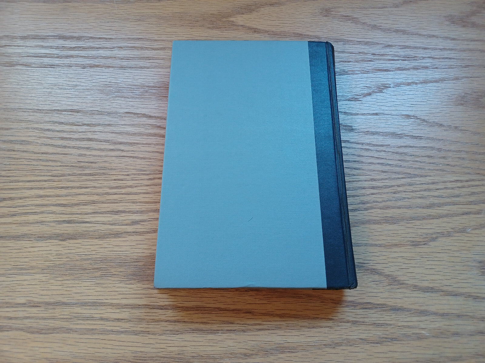 Image #6