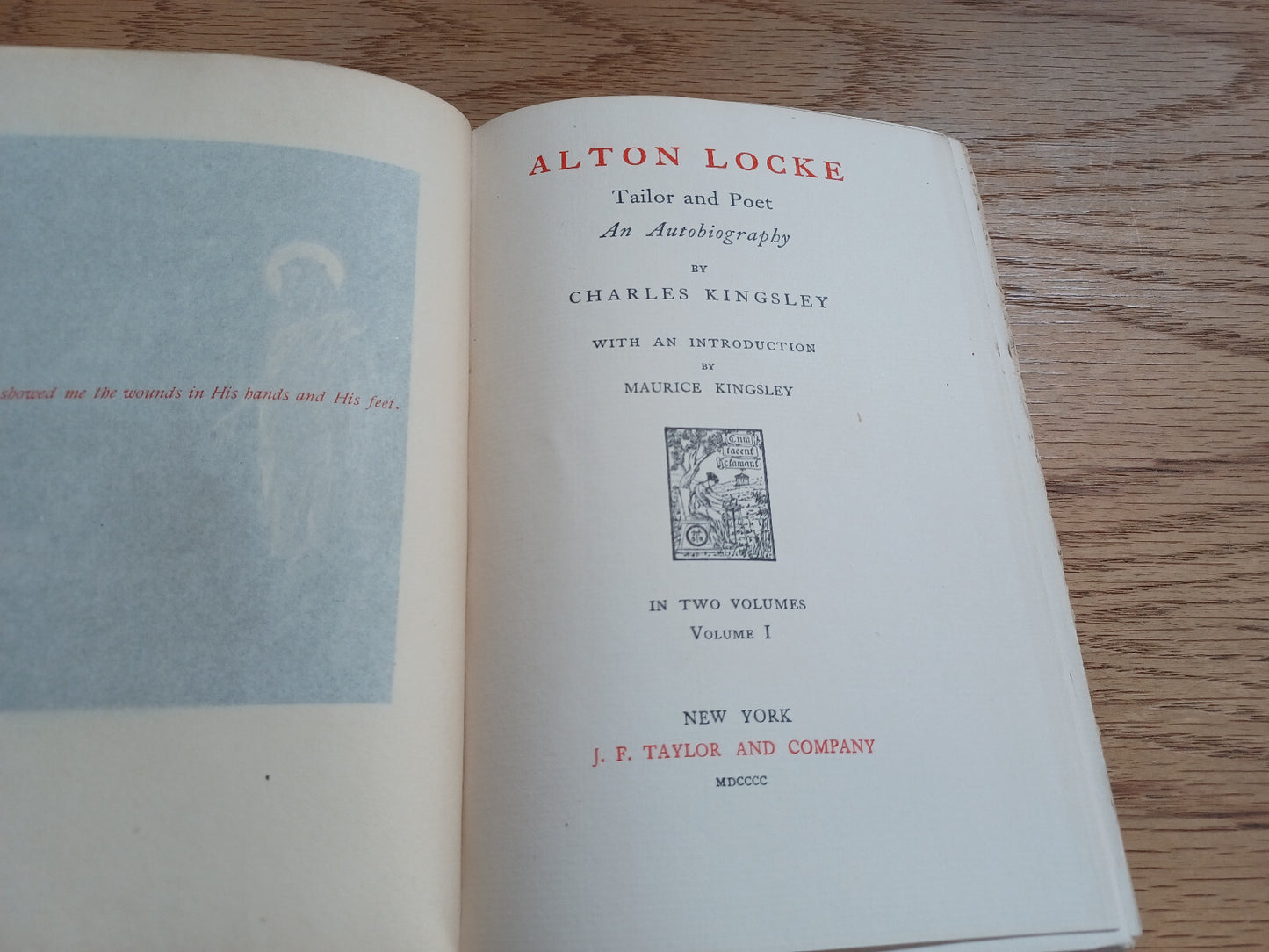 Image #8