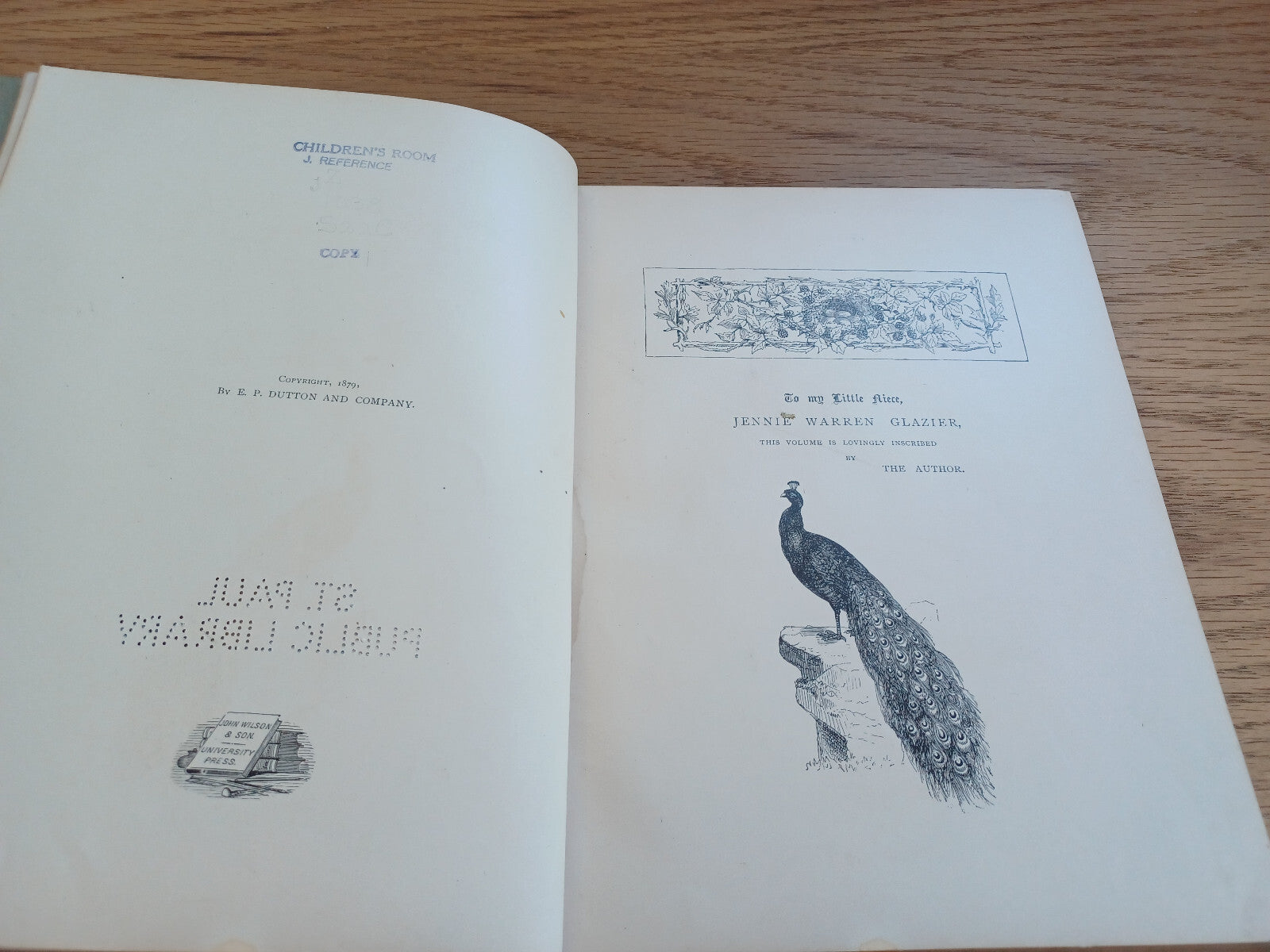 Image #8