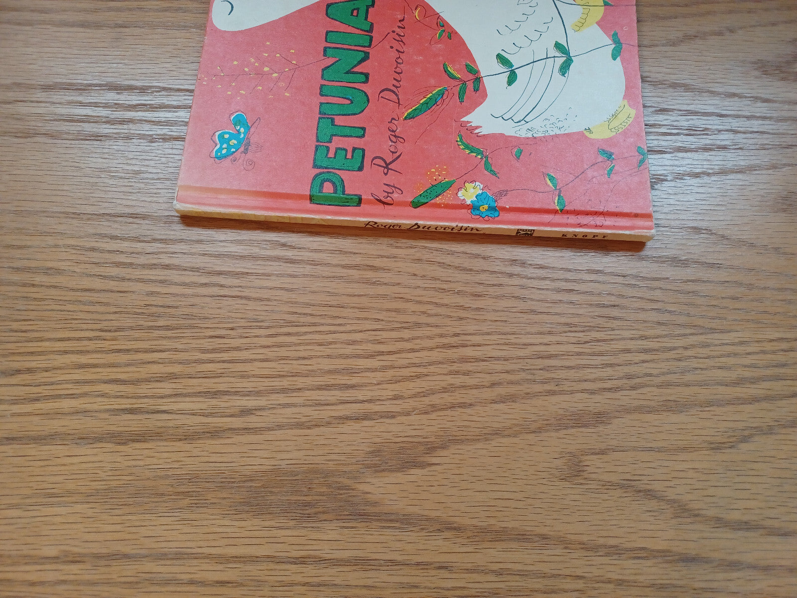 Image #5