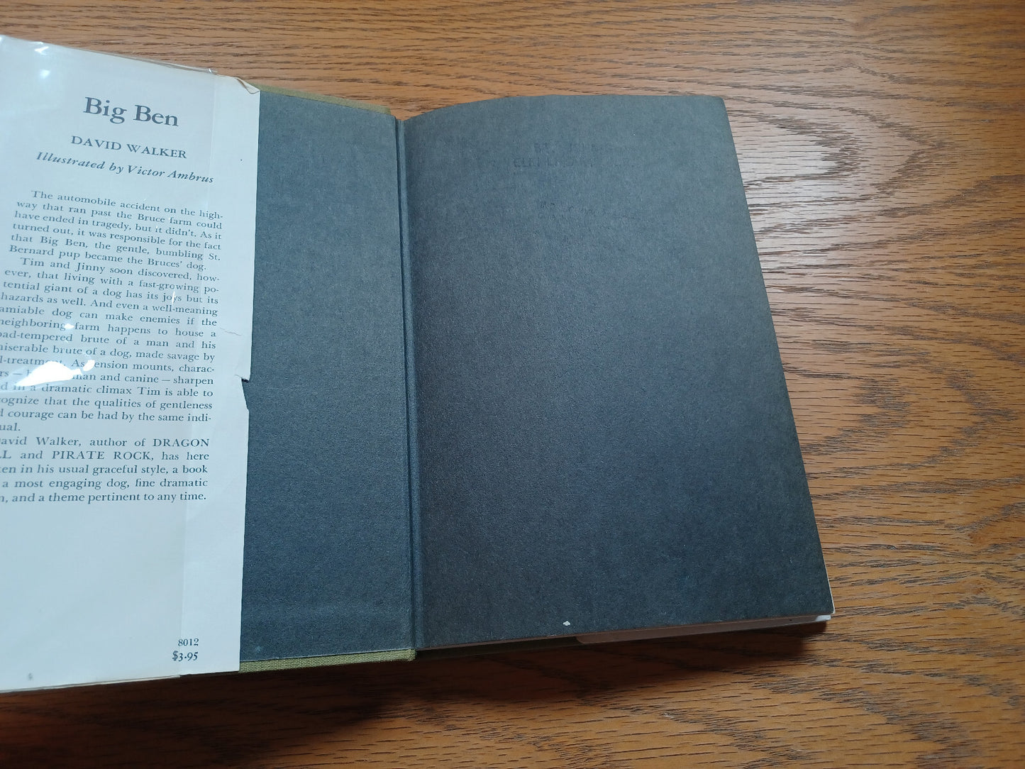 Image #7