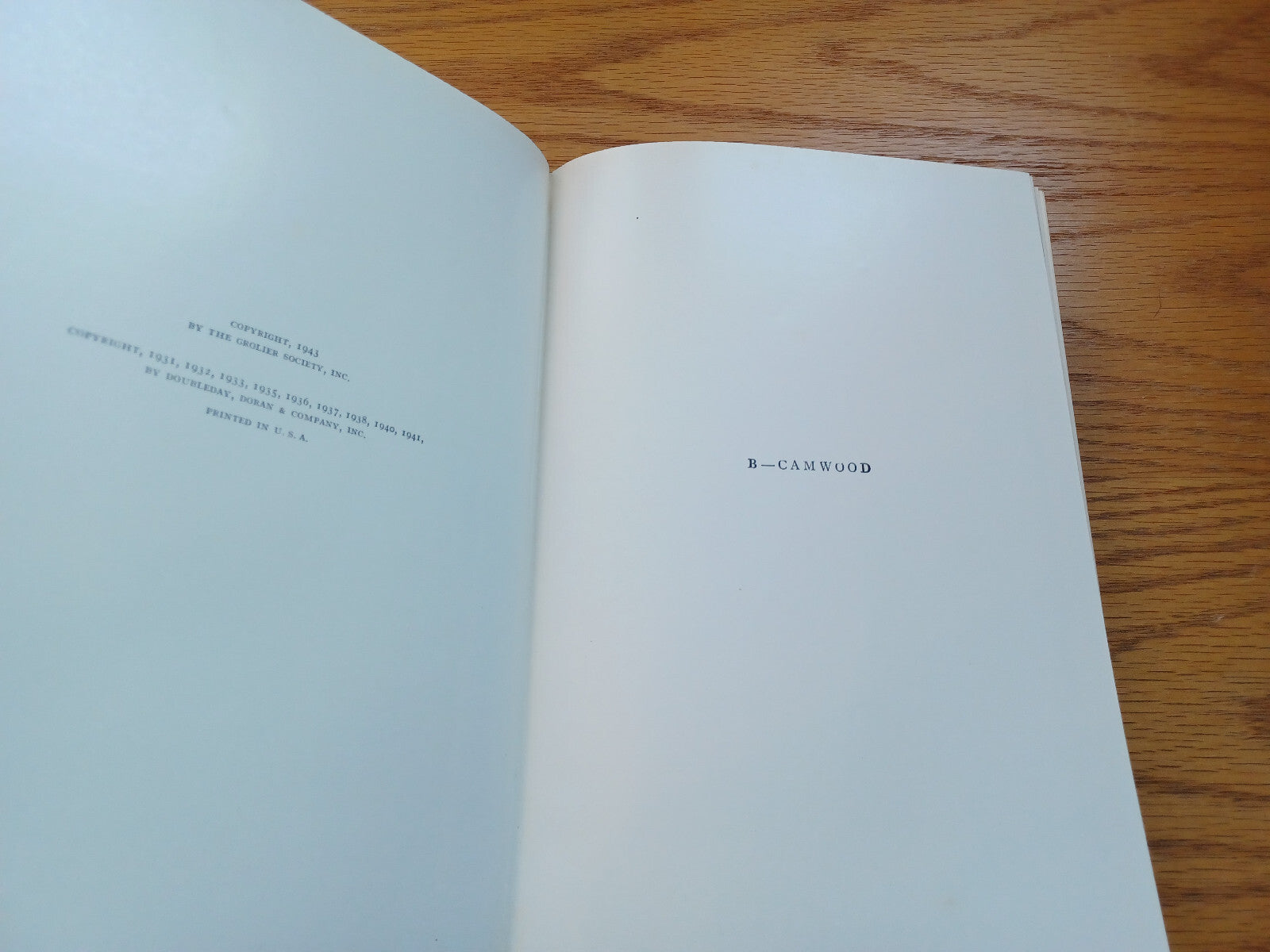 Image #8