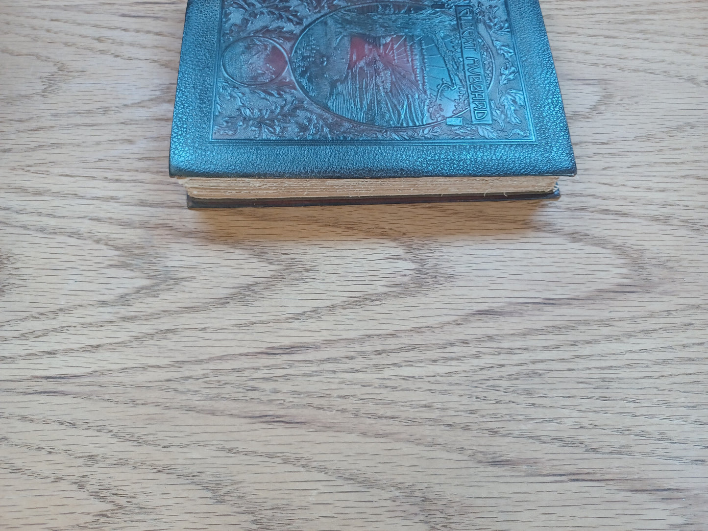 Image #3