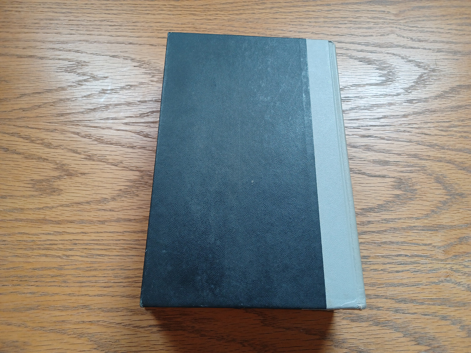 Image #6